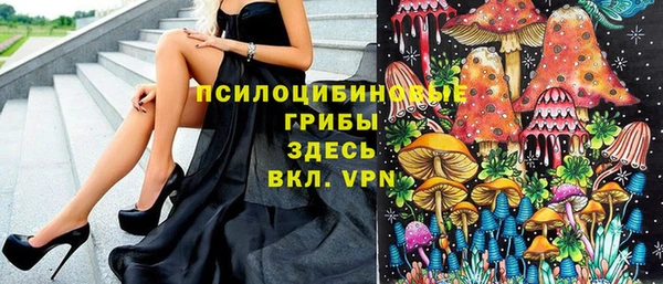 дурь Алзамай